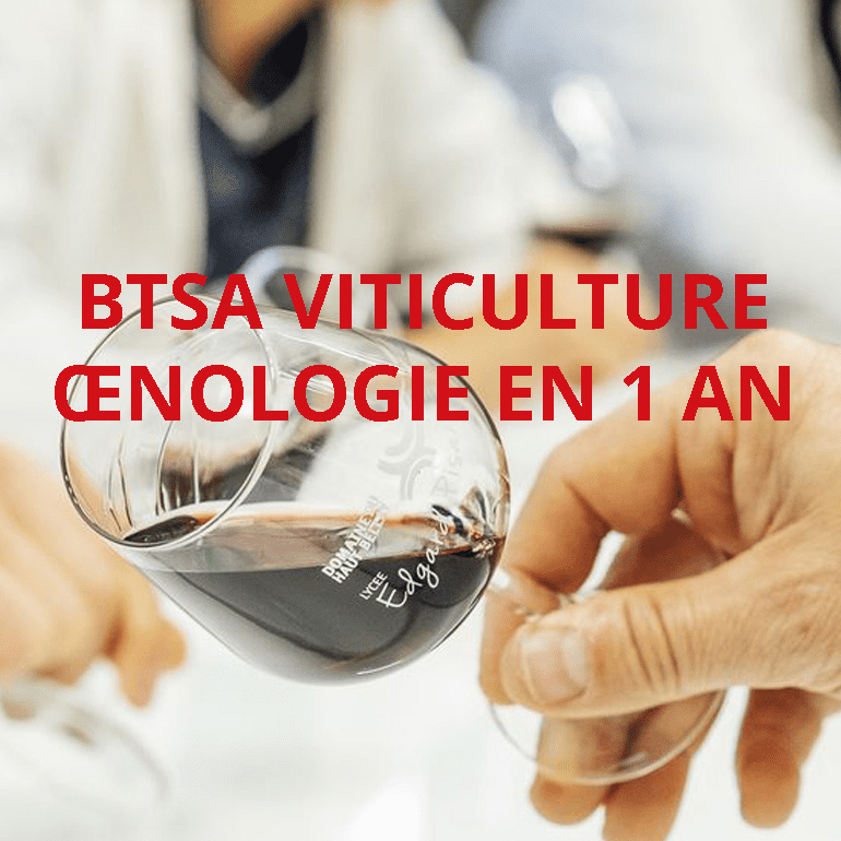 BTSa Viticulture-Oenologie
