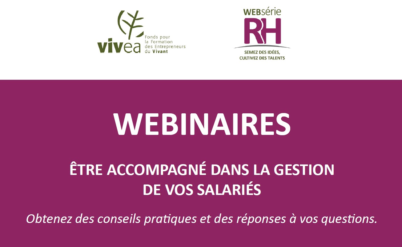 Websérie RH de Vivéa
