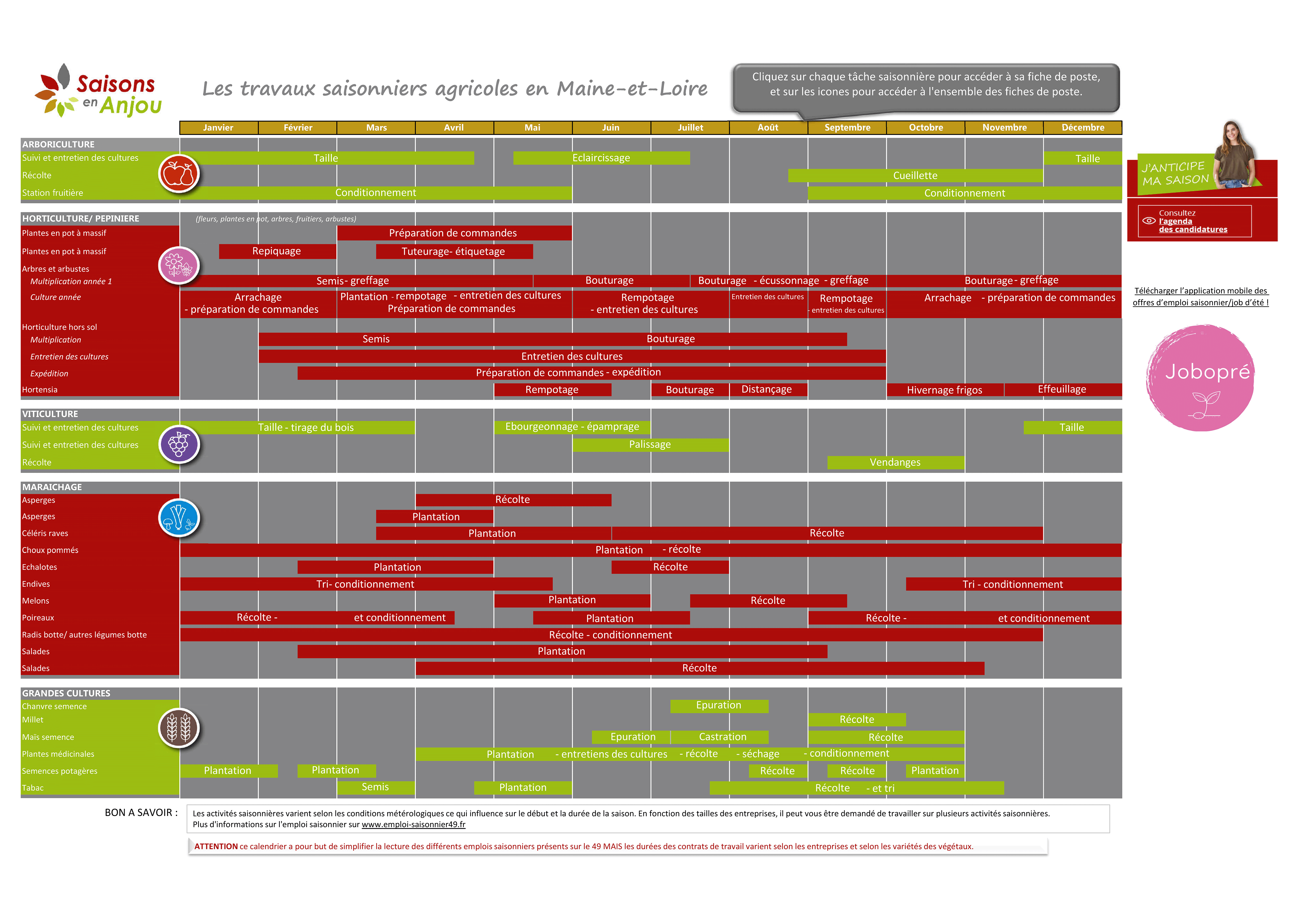 Calendrier interactif des saisons en Anjou