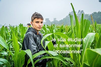 Travailleur saisonnier occasionnel Travailleur saisonnier occasionnel